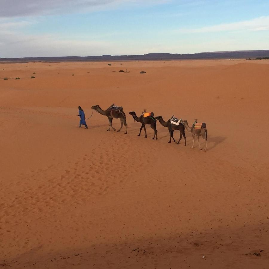 Auberge Sahara Garden Lac Yasmins Extérieur photo