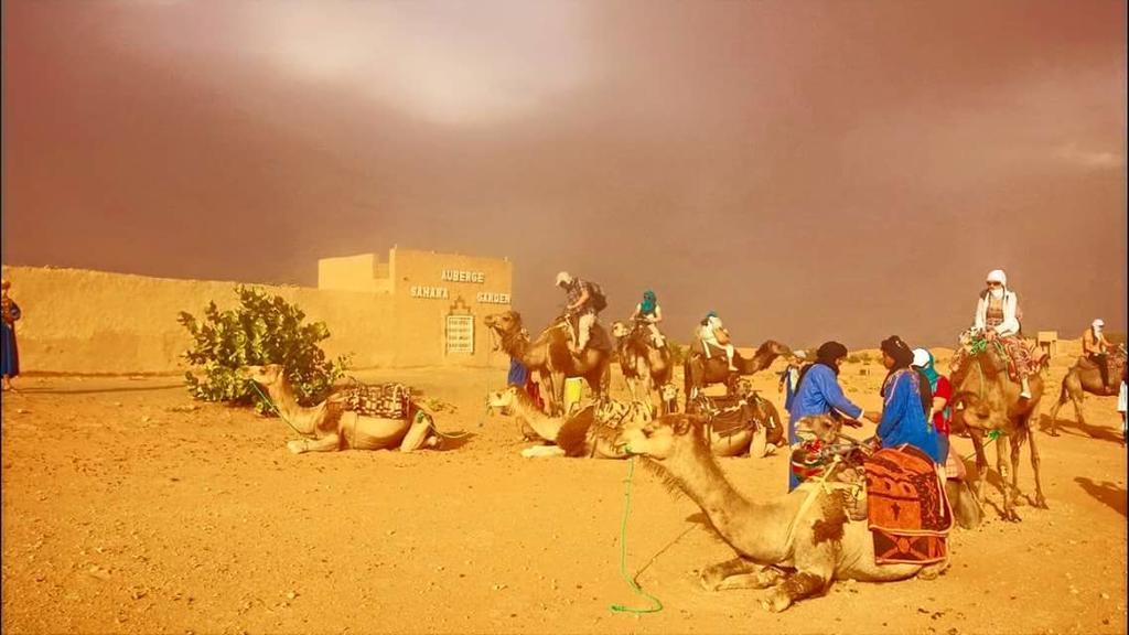 Auberge Sahara Garden Lac Yasmins Extérieur photo
